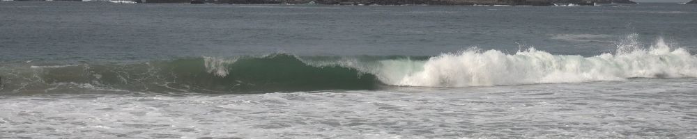 Ixtapa Zihuatanejo Waves 