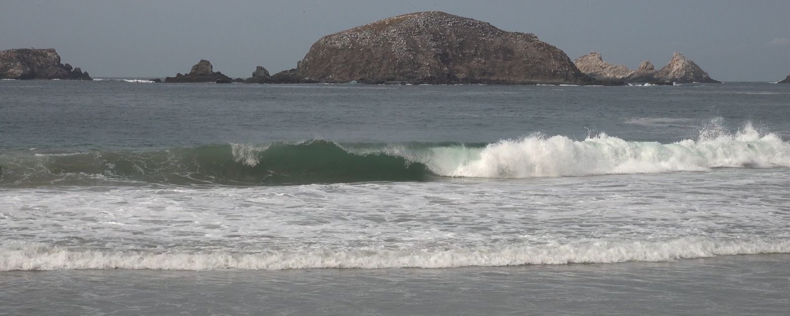 Ixtapa Zihuatanejo Waves 