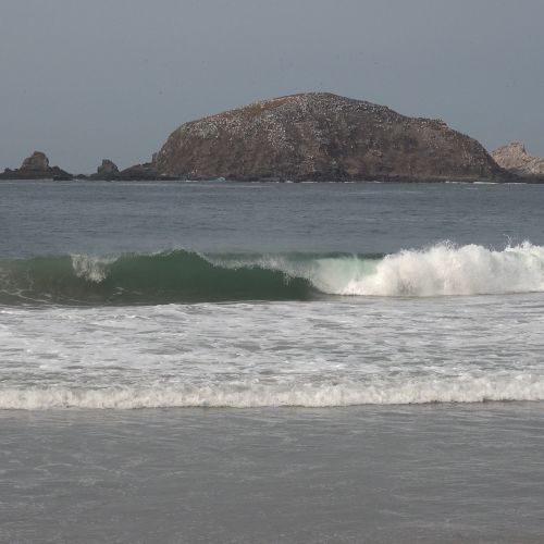 Ixtapa Zihuatanejo Waves 